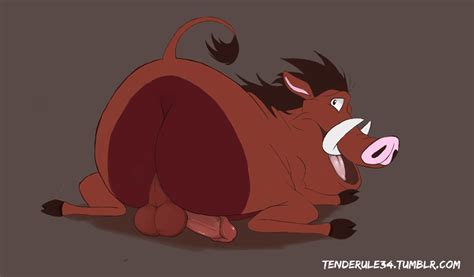 Post 1305387 Pumbaa Tenderule34 The Lion King