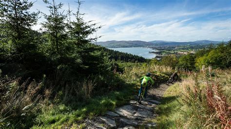 Rostrevor Mountain Bike Trails Rostrevor Visit Mourne Mountains