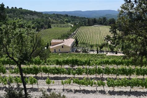 Discover Mont Ventoux And Ventoux Wines Winekeller Tailored Wine