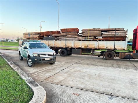 Gendarmería interceptó un camión que trasladaba madera nativa