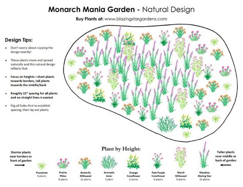 Rain Garden Kit - Sun - 72 plants — Blazing Star Gardens