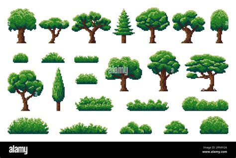 Pixel Forest And Jungle Trees Shrub Grass And Herb Plants Of 8 Bit