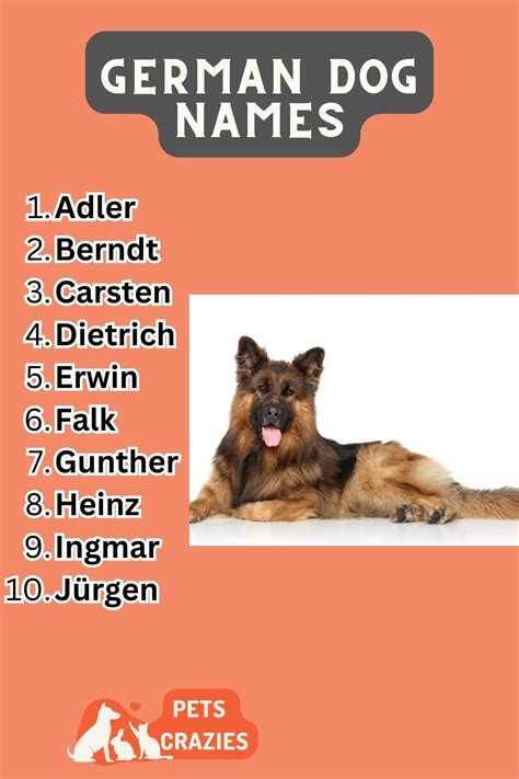 200+ German Dog Names - Unique And Traditional Picks