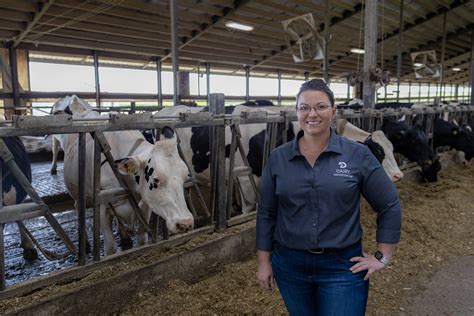 Dairy Innovation Hub Releases Fourth Annual Report Dairy Innovation Hub