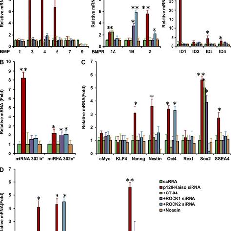 Reprogramming And Expression Of MiR302b Are Attenuated By The Rho