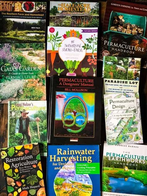 Top 5 Best Permaculture Books For Beginners Grow Forage Cook Ferment