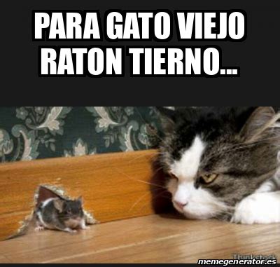 Meme Personalizado Para Gato Viejo Raton Tierno