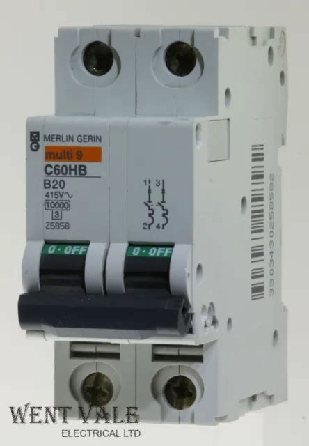 MERLIN GERIN MULTI 9 C60HB220 20a Type B Double Pôle MCB Neuf EUR