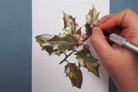 How to Draw Holly Leaves: Colour Pencil Drawing - Pintando.org