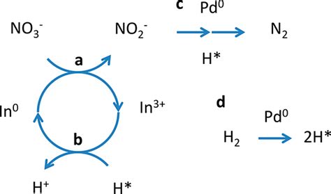 Scheme 2. Schematic Illustration of the Nitrate Reduction Mechanism ...