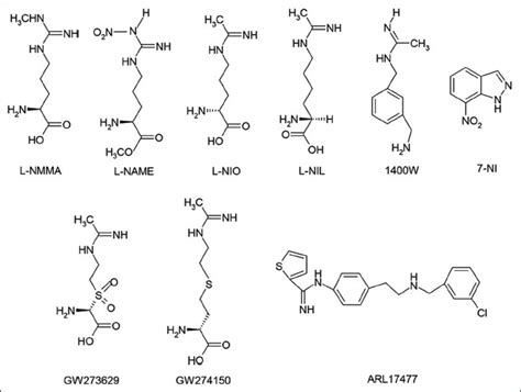 Chemical Structures Of Nitric Oxide Synthase Inhibitors Download