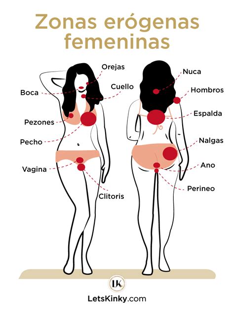 Deformar más y más Temprano cuales son las partes mas sensibles del