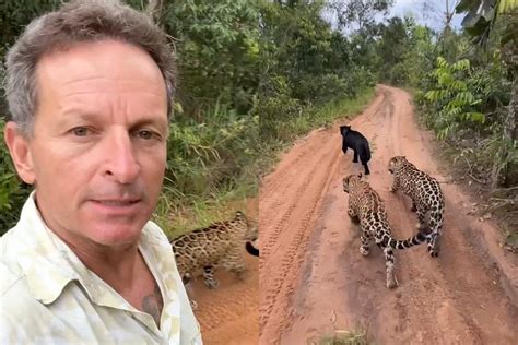 V Deo Viraliza Ao Mostrar Homem Levando On As Para Passear Em Mineiros