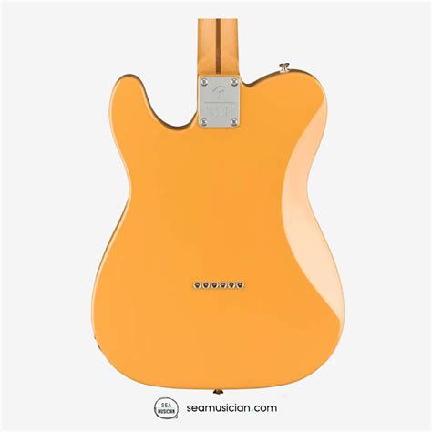 Fender Player Plus Nashville Telecaster Electric Guitar Maple Fingerboard Butterscotch Blonde