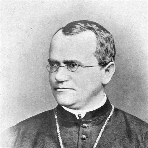 Gregor Mendel Monje Y Nico Padre De La Gen Tica Moderna