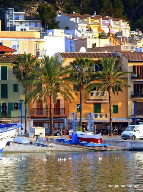 Several Boats Are Docked In The Water Next To Some Buildings And Palm