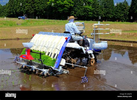 Japan rice farm hi-res stock photography and images - Alamy