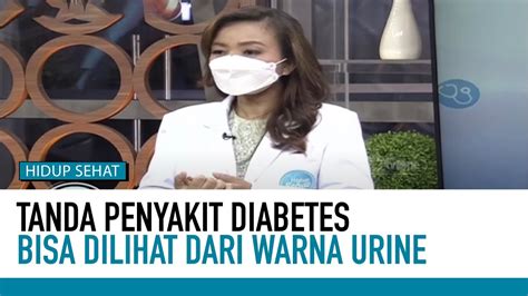 Waspada Jenis Warna Urine Ini Tanda Penyakit Serius Deteksi Penyakit