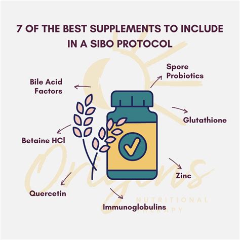 The Role of Liver Support and Bile Flow in SIBO Treatment — Origins ...