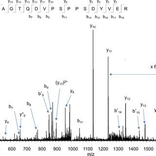 Mass Spectrometric Identification Of Occludin Co Immunoprecipitated