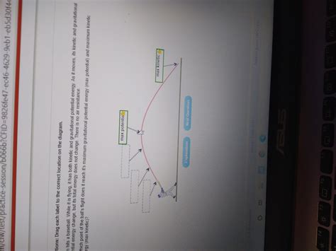 Directions Drag Each Label To The Correct Location On The Diagram