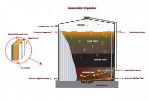 Anaerobic Digestion Process – American Structures