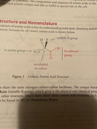 Mcat Biology Chapter 3 Biologically Important Molecules Flashcards