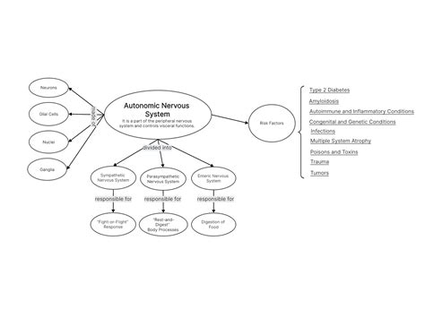 Autonomic Nervous System Concept Map Template Pdf Agile