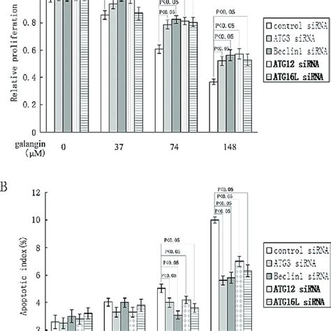 Inhibition Of Autophagy Attenuates Galangin Mediated Growth Inhibition