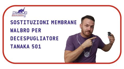 Guida Sostituzione Membrane Per Carburatore Walbro WYK Del