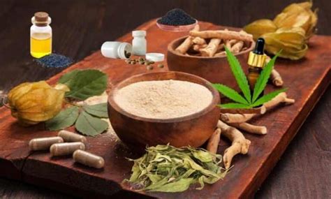 Everything You Need To Know About Ayurvedic Medicine