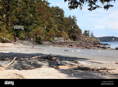 pacific coast beach Stock Photo - Alamy