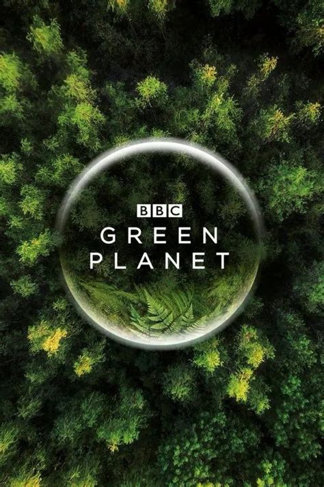 The world's first immersive plant documentary, together into the ...