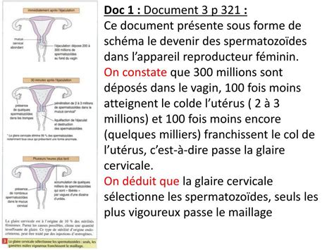 PPT Parti VI chapitre 4 La maîtrise de la procréation PowerPoint