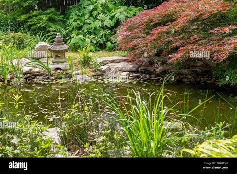 Little pond in a Japanese style garden Stock Photo - Alamy