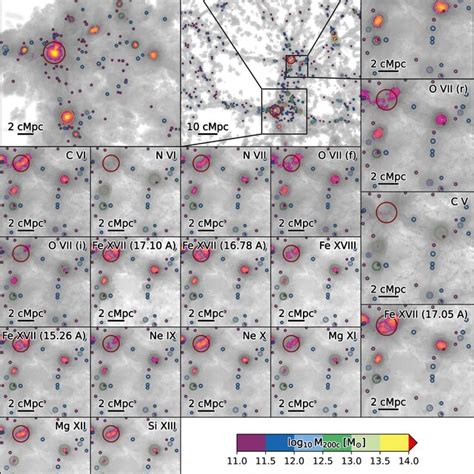 Surface Brightness Maps For A Large Set Of X Ray Emission Lines The O