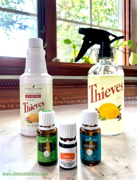 Thieves Cleaner Spray Recipe Besto Blog