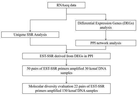 Sustainability Free Full Text Development And Application Of Est