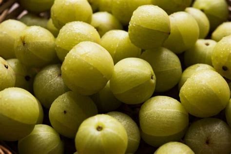 Best Fertilizer For Indian Gooseberry Amla Organic Homemade Npk Ratio When And How To Apply