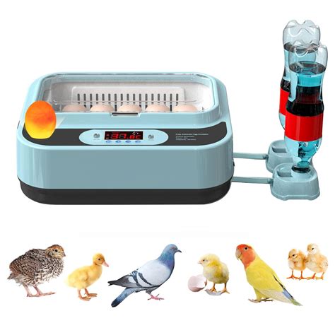 Amazon Ouyolad Egg Incubators For Chickens Incubators For