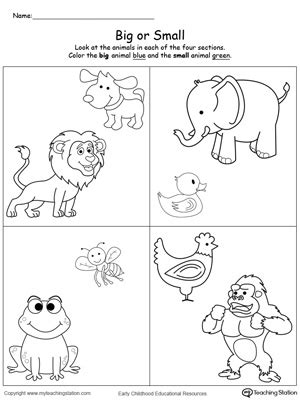 *FREE* Comparing Animals Sizes Big and Small | MyTeachingStation.com