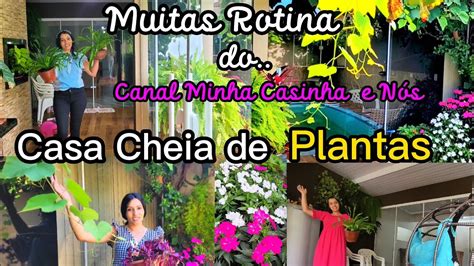 MINHA ROTINA Em Uma CASA CHEIA De PLANTAS Tour YouTube