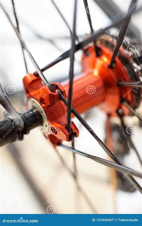 O Eixo Traseiro De Roda De Bicicleta Dos Esportes Imagem De Stock