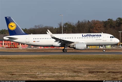 D Aiuf Lufthansa Airbus A Wl Photo By Marcello Galzignato Id