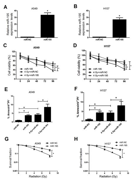 Effect Of Mir 195 Upregulation On Radiosensitivity Of Nsclc Cells A549