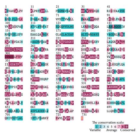 A Amino Acid Sequence Alignment Of KpPriA An Alignment Consensus Of