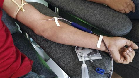 Cifra de donantes voluntarios de sangre en Venezuela disminuyó 82 en