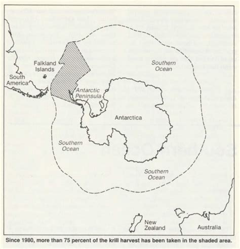 Managing the Southern Ocean Krill Fishery