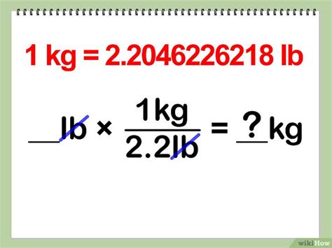 How To Convert Pounds To Kilograms