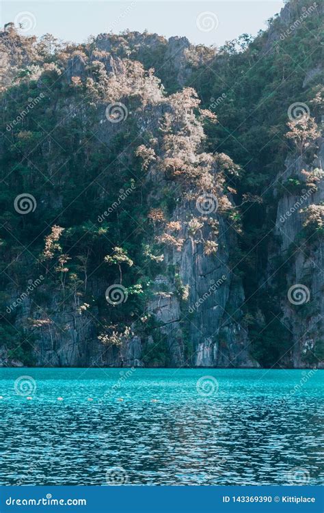 Blue Water of Lake Kayangan. Coron Island Tour. Stock Photo - Image of ...